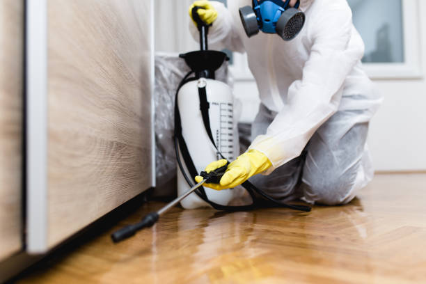 Best Exterminator Services  in Manassas, VA