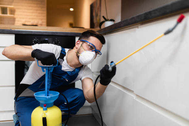 Best Pest Control Near Me  in Manassas, VA