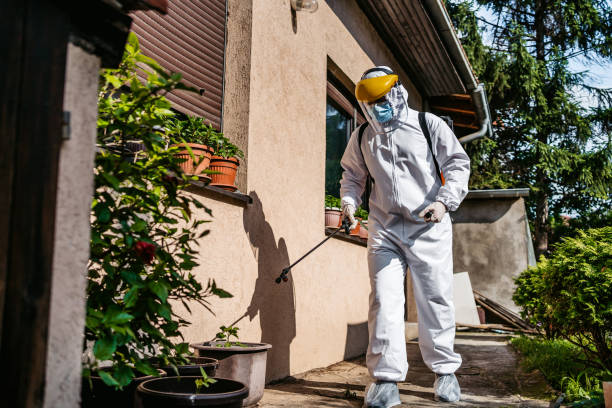 Best Affordable Pest Control Services  in Manassas, VA
