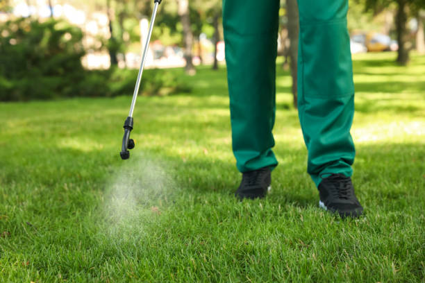 Best Best Pest Control Companies  in Manassas, VA