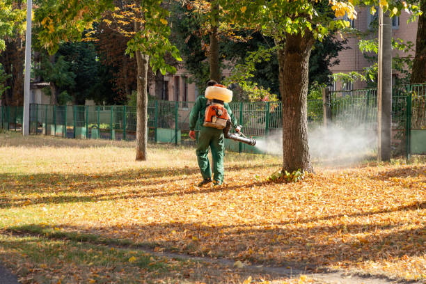 Best Insect Control  in Manassas, VA