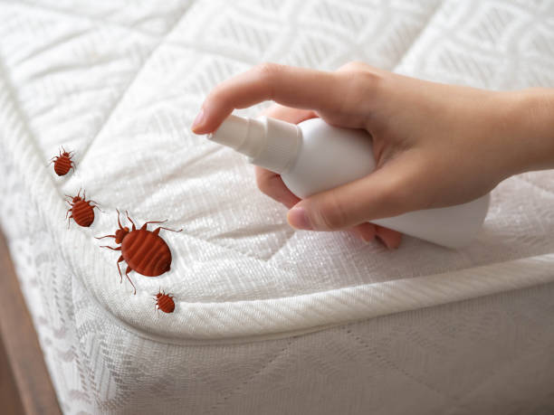 Wildlife Control Services in Manassas, VA