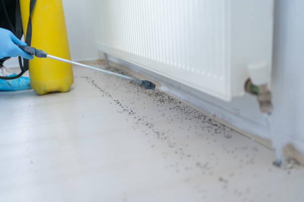 Best Exterminator Services  in Manassas, VA