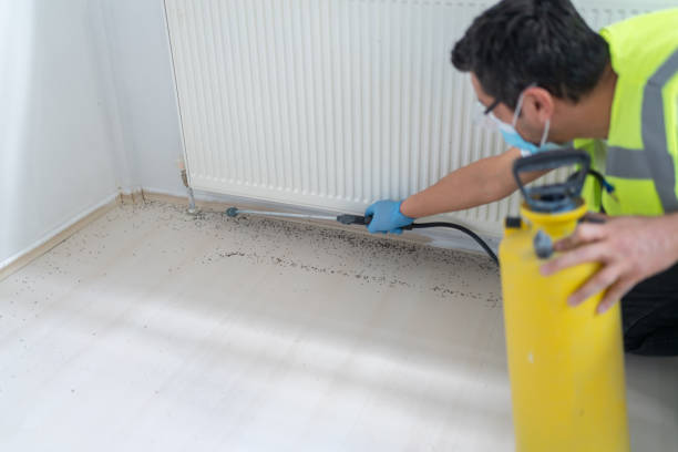 Best Mosquito Control Services  in Manassas, VA
