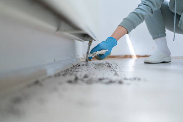  Manassas, VA Pest Control Pros