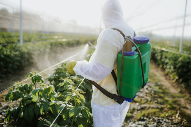 Professional Pest Control in Manassas, VA
